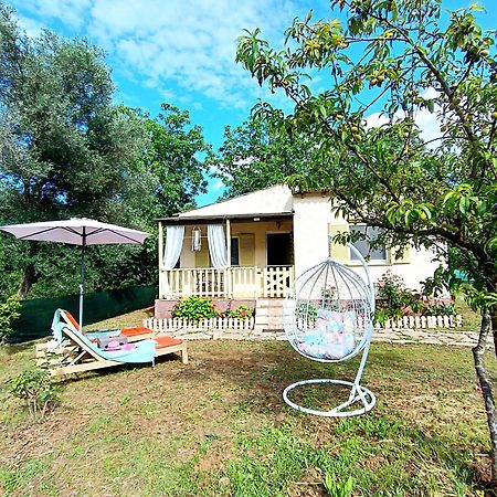 הוילה Peritheia Elia House מראה חיצוני תמונה