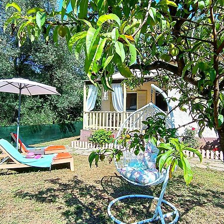 הוילה Peritheia Elia House מראה חיצוני תמונה