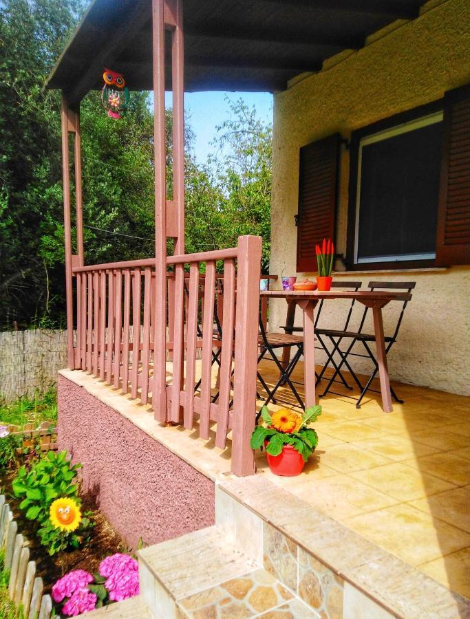 הוילה Peritheia Elia House מראה חיצוני תמונה
