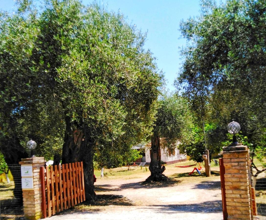 הוילה Peritheia Elia House מראה חיצוני תמונה