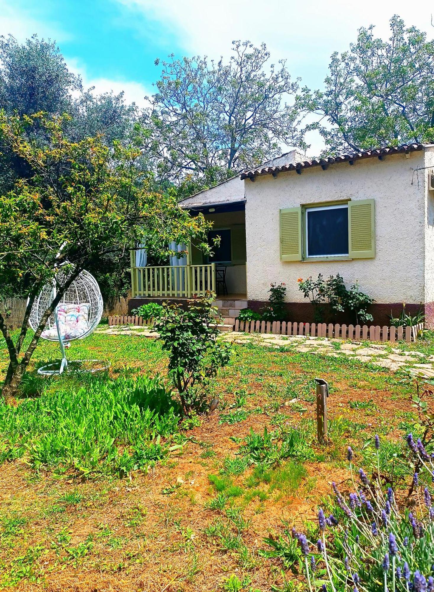 הוילה Peritheia Elia House מראה חיצוני תמונה