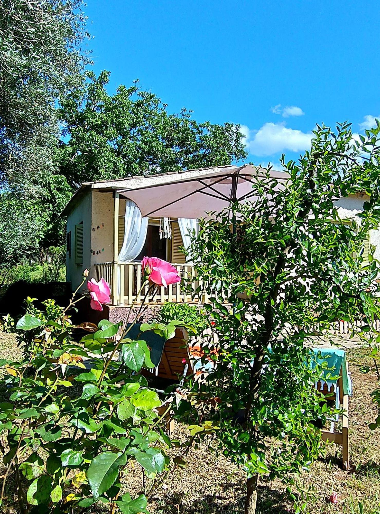 הוילה Peritheia Elia House מראה חיצוני תמונה